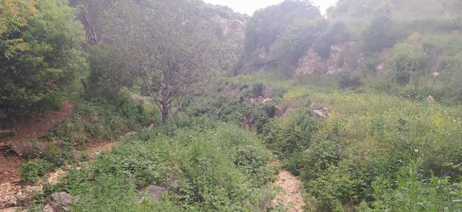 حالة الطقس هذا اليوم